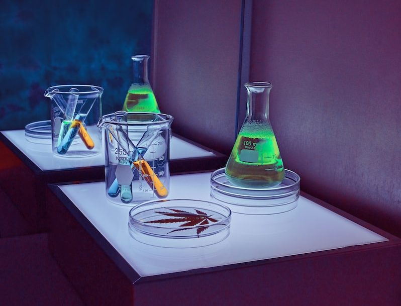 cannabis lab