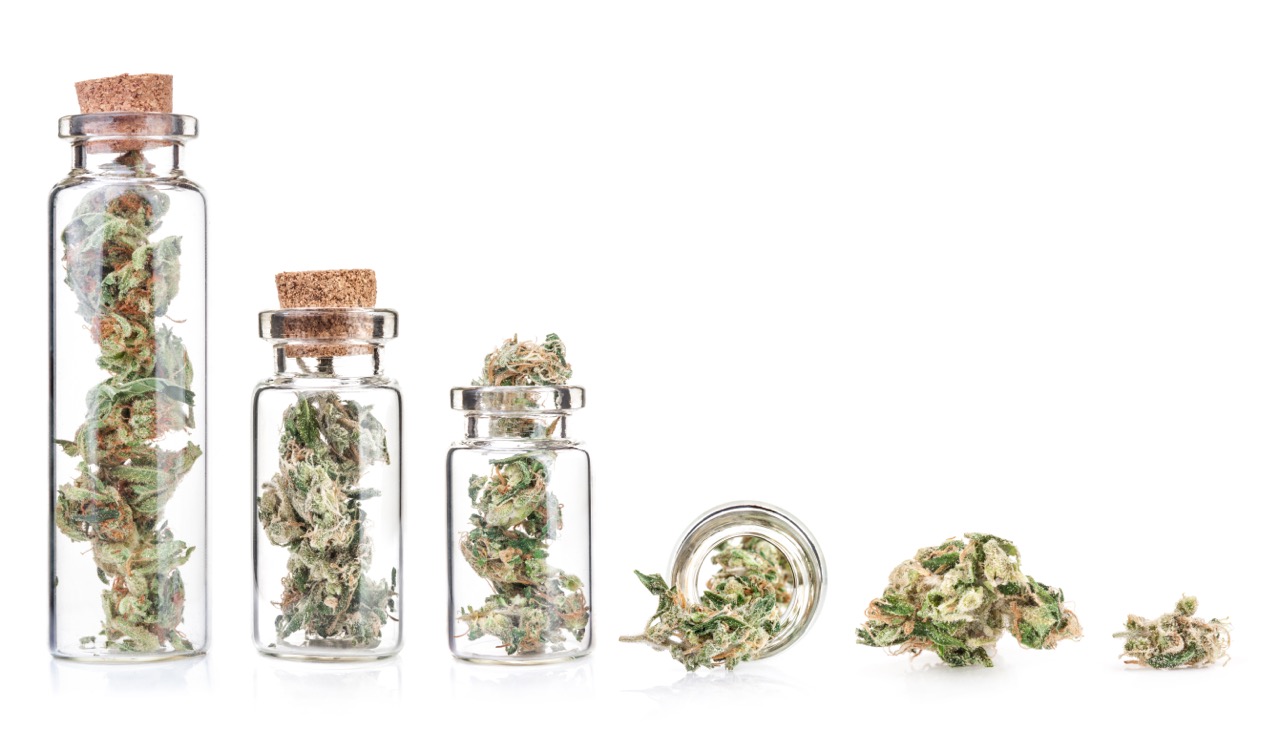 Small bottle with medical marijuana buds, closeup, isolated on white background. Therapeutic and medical cannabis